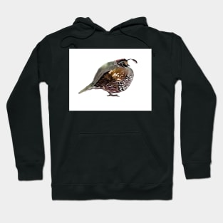 California Quail Hoodie